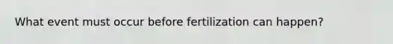 What event must occur before fertilization can happen?