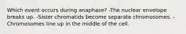 Which event occurs during anaphase? -The nuclear envelope breaks up. -Sister chromatids become separate chromosomes. -Chromosomes line up in the middle of the cell.