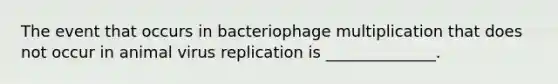 The event that occurs in bacteriophage multiplication that does not occur in animal virus replication is ______________.