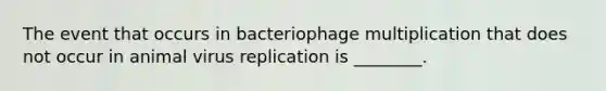 The event that occurs in bacteriophage multiplication that does not occur in animal virus replication is ________.