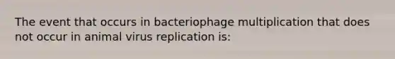 The event that occurs in bacteriophage multiplication that does not occur in animal virus replication is: