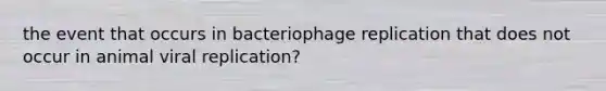 the event that occurs in bacteriophage replication that does not occur in animal viral replication?