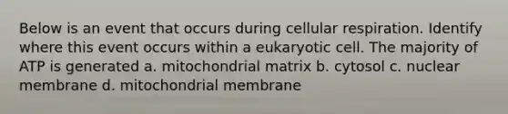 Below is an event that occurs during cellular respiration. Identify where this event occurs within a eukaryotic cell. The majority of ATP is generated a. mitochondrial matrix b. cytosol c. nuclear membrane d. mitochondrial membrane