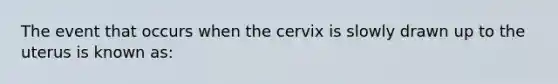 The event that occurs when the cervix is slowly drawn up to the uterus is known as: