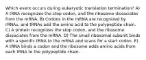 Which event occurs during eukaryotic translation termination? A) A tRNA recognizes the stop codon, and the ribosome dissociates from the mRNA. B) Codons in the mRNA are recognized by rRNAs, and tRNAs add the amino acid to the polypeptide chain. C) A protein recognizes the stop codon, and the ribosome dissociates from the mRNA. D) The small ribosomal subunit binds with a specific tRNA to the mRNA and scans for a start codon. E) A tRNA binds a codon and the ribosome adds amino acids from each tRNA to the polypeptide chain.