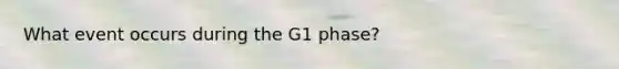 What event occurs during the G1 phase?