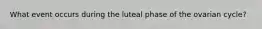 What event occurs during the luteal phase of the ovarian cycle?