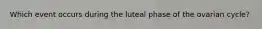 Which event occurs during the luteal phase of the ovarian cycle?