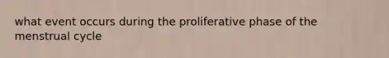 what event occurs during the proliferative phase of the menstrual cycle