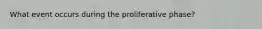 What event occurs during the proliferative phase?