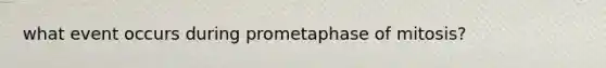 what event occurs during prometaphase of mitosis?