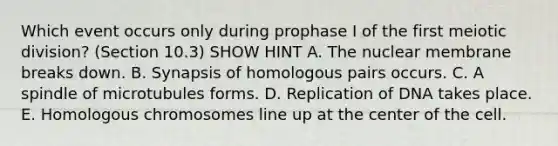 Which event occurs only during prophase I of the first meiotic division? (Section 10.3) SHOW HINT A. The nuclear membrane breaks down. B. Synapsis of homologous pairs occurs. C. A spindle of microtubules forms. D. Replication of DNA takes place. E. Homologous chromosomes line up at the center of the cell.