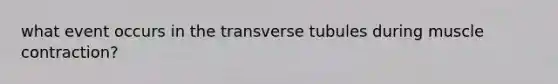 what event occurs in the transverse tubules during muscle contraction?