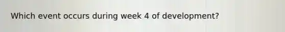 Which event occurs during week 4 of development?