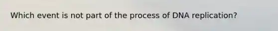 Which event is not part of the process of DNA replication?