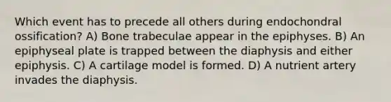 Which event has to precede all others during endochondral ossification? A) Bone trabeculae appear in the epiphyses. B) An epiphyseal plate is trapped between the diaphysis and either epiphysis. C) A cartilage model is formed. D) A nutrient artery invades the diaphysis.