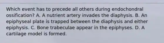 Which event has to precede all others during endochondral ossification? A. A nutrient artery invades the diaphysis. B. An epiphyseal plate is trapped between the diaphysis and either epiphysis. C. Bone trabeculae appear in the epiphyses. D. A cartilage model is formed.