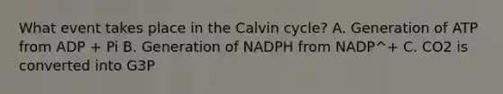 What event takes place in the Calvin cycle? A. Generation of ATP from ADP + Pi B. Generation of NADPH from NADP^+ C. CO2 is converted into G3P