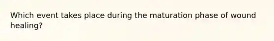 Which event takes place during the maturation phase of wound healing?