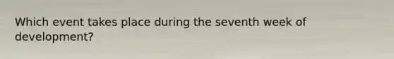 Which event takes place during the seventh week of development?