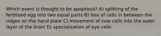 Which event is thought to be apoptosis? A) splitting of the fertilized egg into two equal parts B) loss of cells in between the ridges on the hand plate C) movement of new cells into the outer layer of the brain D) specialization of eye cells