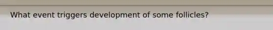 What event triggers development of some follicles?