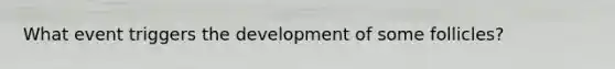 What event triggers the development of some follicles?
