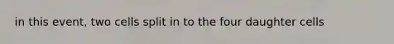 in this event, two cells split in to the four daughter cells