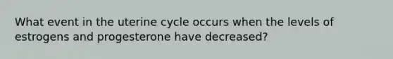 What event in the uterine cycle occurs when the levels of estrogens and progesterone have decreased?