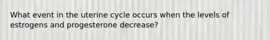 What event in the uterine cycle occurs when the levels of estrogens and progesterone decrease?