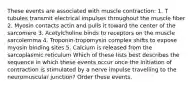 These events are associated with muscle contraction: 1. T tubules transmit electrical impulses throughout the muscle fiber 2. Myosin contacts actin and pulls it toward the center of the sarcomere 3. Acetylcholine binds to receptors on the muscle sarcolemma 4. Troponin-tropomysin complex shifts to expose myosin binding sites 5. Calcium is released from the sarcoplasmic reticulum Which of these lists best describes the sequence in which these events occur once the initiation of contraction is stimulated by a nerve impulse travelling to the neuromuscular junction? Order these events.