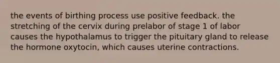 the events of birthing process use positive feedback. the stretching of the cervix during prelabor of stage 1 of labor causes the hypothalamus to trigger the pituitary gland to release the hormone oxytocin, which causes uterine contractions.