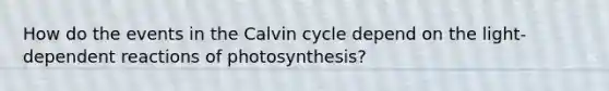 How do the events in the Calvin cycle depend on the light-dependent reactions of photosynthesis?