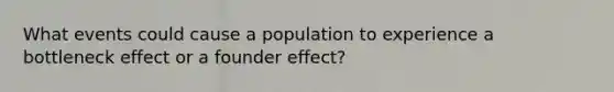 What events could cause a population to experience a bottleneck effect or a founder effect?