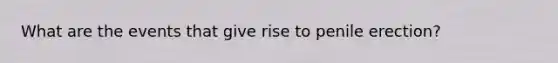 What are the events that give rise to penile erection?