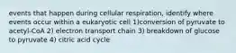 events that happen during cellular respiration, identify where events occur within a eukaryotic cell 1)conversion of pyruvate to acetyl-CoA 2) electron transport chain 3) breakdown of glucose to pyruvate 4) citric acid cycle