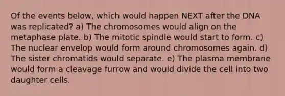 Of the events below, which would happen NEXT after the DNA was replicated? a) The chromosomes would align on the metaphase plate. b) The mitotic spindle would start to form. c) The nuclear envelop would form around chromosomes again. d) The sister chromatids would separate. e) The plasma membrane would form a cleavage furrow and would divide the cell into two daughter cells.