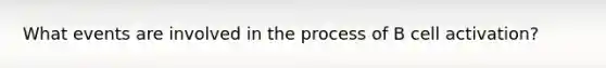 What events are involved in the process of B cell activation?