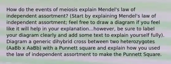 How do the events of meiosis explain Mendel's law of independent assortment? (Start by explaining Mendel's law of independent assortment; feel free to draw a diagram if you feel like it will help in your explanation...however, be sure to label your diagram clearly and add some text to explain yourself fully). Diagram a generic dihybrid cross between two heterozygotes (AaBb x AaBb) with a Punnett square and explain how you used the law of independent assortment to make the Punnett Square.