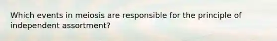 Which events in meiosis are responsible for the principle of independent assortment?
