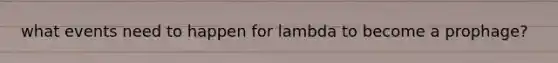 what events need to happen for lambda to become a prophage?