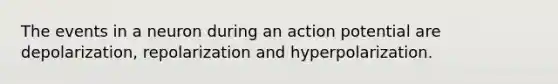 The events in a neuron during an action potential are depolarization, repolarization and hyperpolarization.