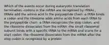 Which of the events occur during eukaryotic translation termination -codons in the mRNA are recognized by rRNAs , tRNAs add the amino acid to the polypeptide chain -a tRNA binds a codon and the ribosome adds amino acids from each tRNA to the polypeptide chain -a tRNA recognizes the stop codon, and the ribosome dissociates from the mRNA -the small ribosomal subunit binds with a specific tRNA to the mRNA and scans for a start codon -the ribosome dissociates from the mRNA after the stop codon is recognized by a protein