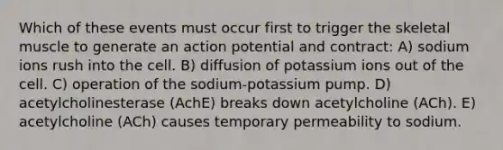 Which of these events must occur first to trigger the skeletal muscle to generate an action potential and contract: A) sodium ions rush into the cell. B) diffusion of potassium ions out of the cell. C) operation of the sodium-potassium pump. D) acetylcholinesterase (AchE) breaks down acetylcholine (ACh). E) acetylcholine (ACh) causes temporary permeability to sodium.