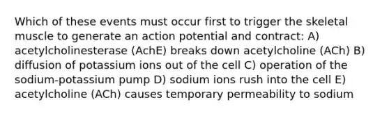 Which of these events must occur first to trigger the skeletal muscle to generate an action potential and contract: A) acetylcholinesterase (AchE) breaks down acetylcholine (ACh) B) diffusion of potassium ions out of the cell C) operation of the sodium-potassium pump D) sodium ions rush into the cell E) acetylcholine (ACh) causes temporary permeability to sodium