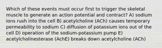 Which of these events must occur first to trigger the skeletal muscle to generate an action potential and contract? A) sodium ions rush into the cell B) acetylcholine (ACh) causes temporary permeability to sodium C) diffusion of potassium ions out of the cell D) operation of the sodium-potassium pump E) acetylcholinesterase (AchE) breaks down acetylcholine (ACh)