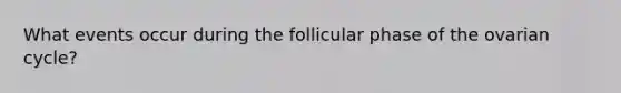 What events occur during the follicular phase of the ovarian cycle?