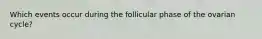 Which events occur during the follicular phase of the ovarian cycle?