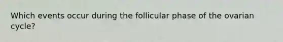 Which events occur during the follicular phase of the ovarian cycle?