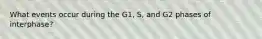 What events occur during the G1, S, and G2 phases of interphase?